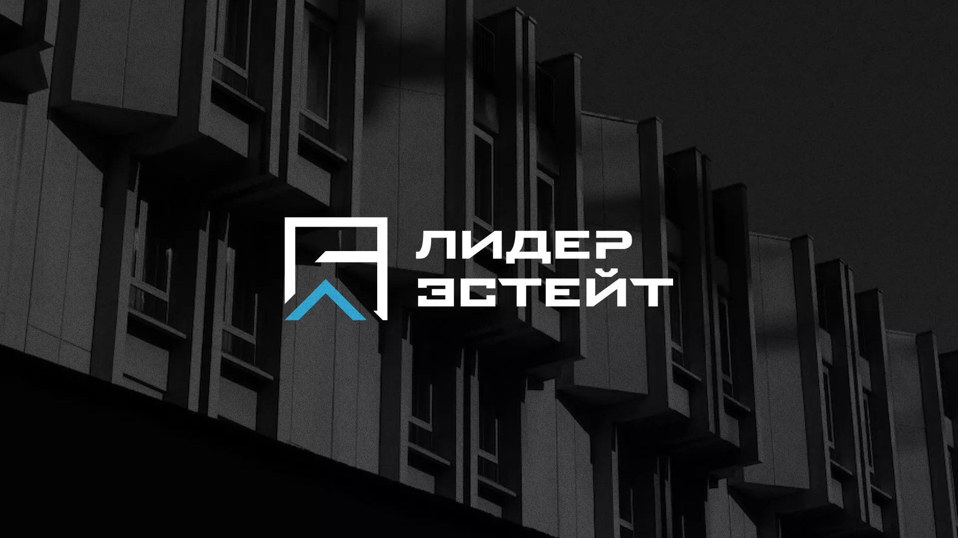 Разработка логотипа агентства недвижимости «Лидер Эстейт» в Нижнекамске